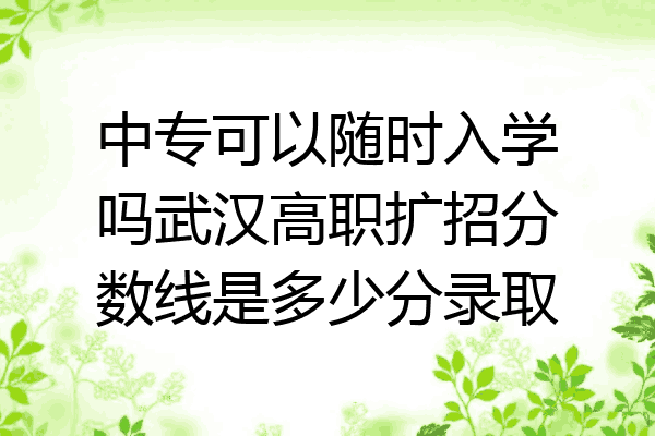 中专可以随时入学吗武汉高职扩招分数线是多少分录取