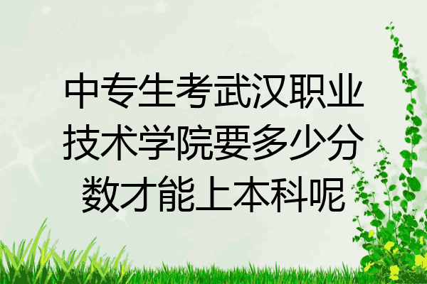 中专生考武汉职业技术学院要多少分数才能上本科呢