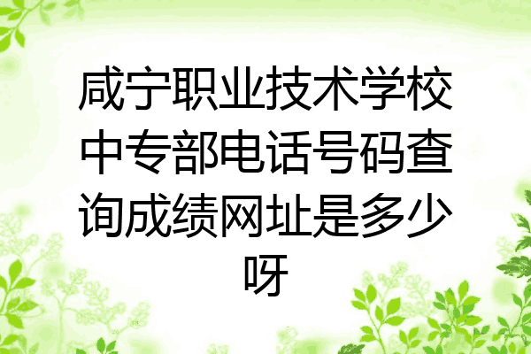咸宁职业技术学校中专部电话号码查询成绩网址是多少呀
