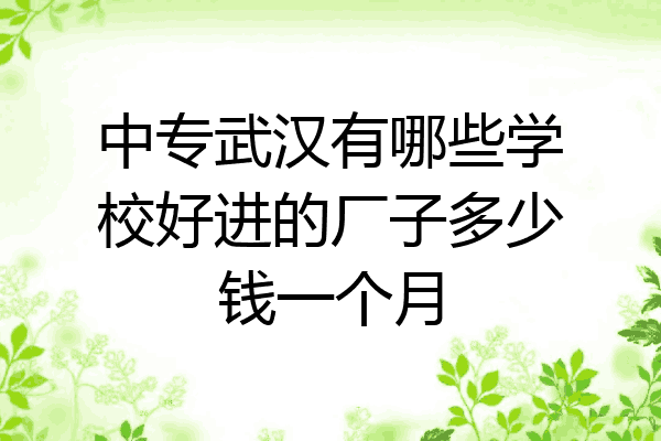 中专武汉有哪些学校好进的厂子多少钱一个月