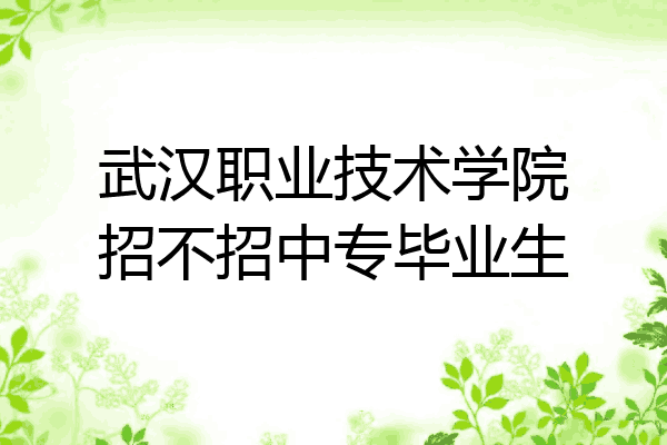 武汉职业技术学院招不招中专毕业生