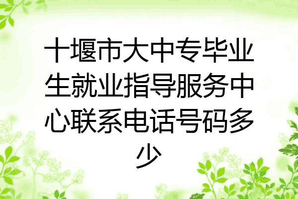 十堰市大中专毕业生就业指导服务中心联系电话号码多少