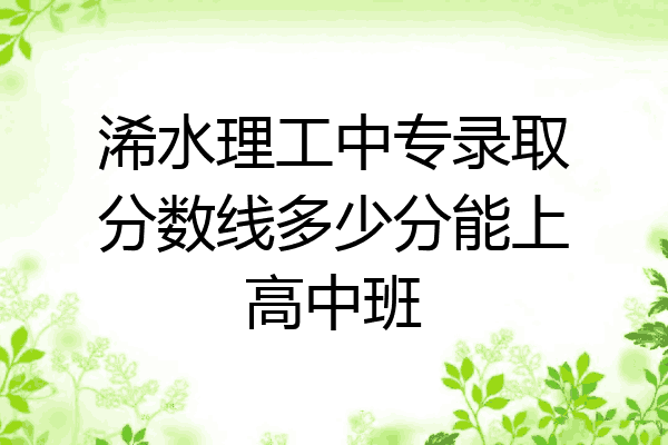 浠水理工中专录取分数线多少分能上高中班