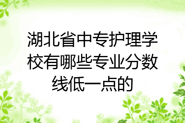 湖北省中专护理学校有哪些专业分数线低一点的
