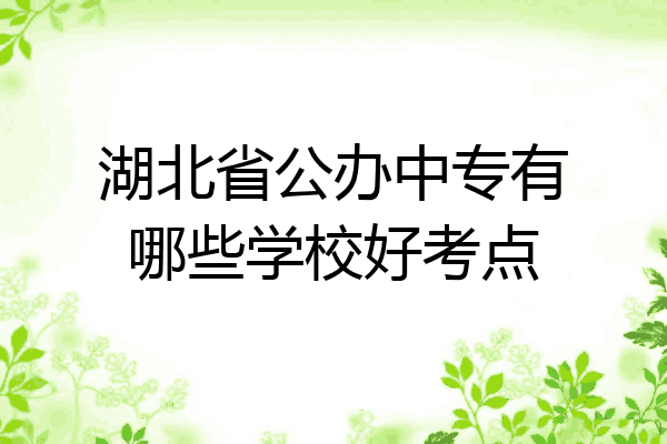 湖北省公办中专有哪些学校好考点