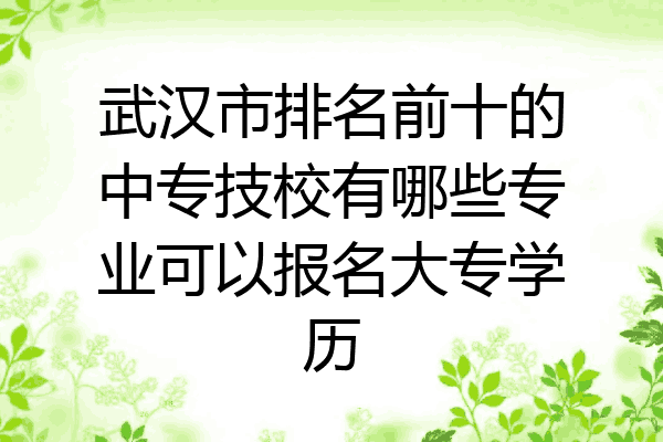 武汉市排名前十的中专技校有哪些专业可以报名大专学历