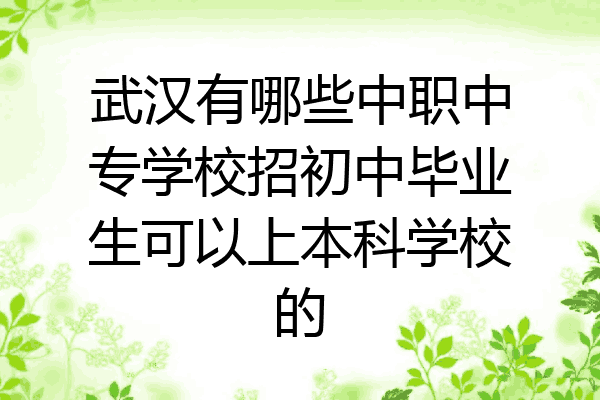 武汉有哪些中职中专学校招初中毕业生可以上本科学校的