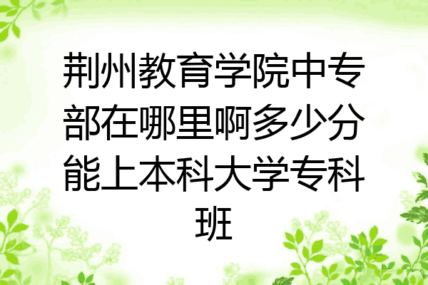 荆州教育学院中专部在哪里啊多少分能上本科大学专科班