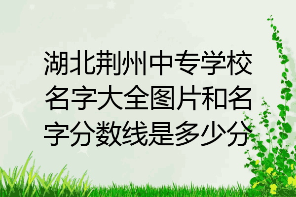 湖北荆州中专学校名字大全图片和名字分数线是多少分