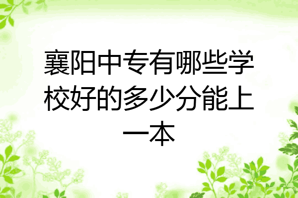 襄阳中专有哪些学校好的多少分能上一本