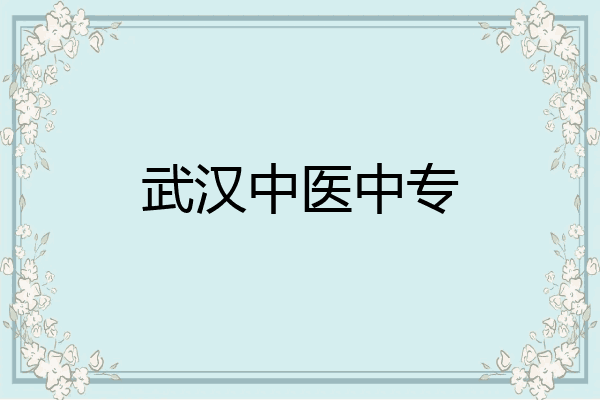 武汉中医中专