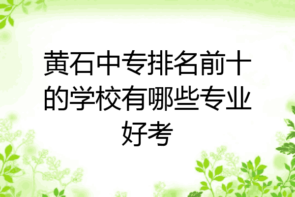 黄石中专排名前十的学校有哪些专业好考