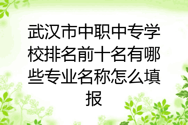 武汉市中职中专学校排名前十名有哪些专业名称怎么填报