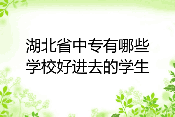 湖北省中专有哪些学校好进去的学生