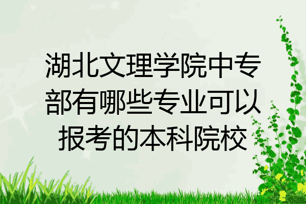 湖北文理学院中专部有哪些专业可以报考的本科院校