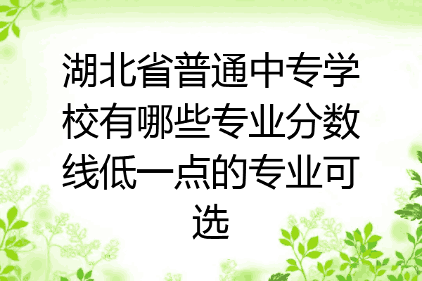 湖北省普通中专学校有哪些专业分数线低一点的专业可选