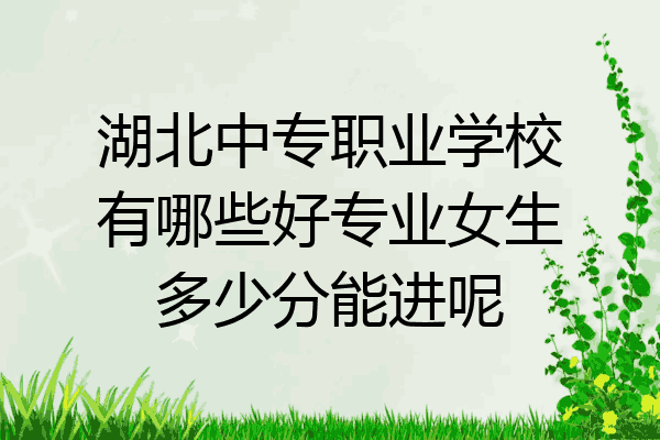 湖北中专职业学校有哪些好专业女生多少分能进呢