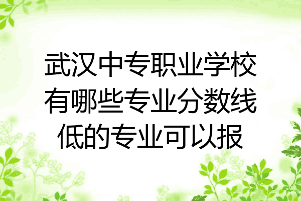 武汉中专职业学校有哪些专业分数线低的专业可以报