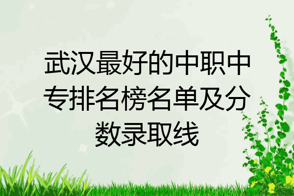 武汉最好的中职中专排名榜名单及分数录取线