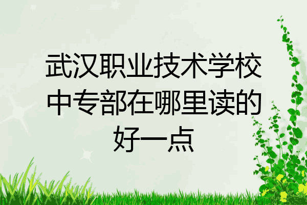 武汉职业技术学校中专部在哪里读的好一点