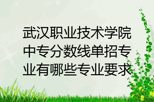 武汉职业技术学院中专分数线单招专业有哪些专业要求