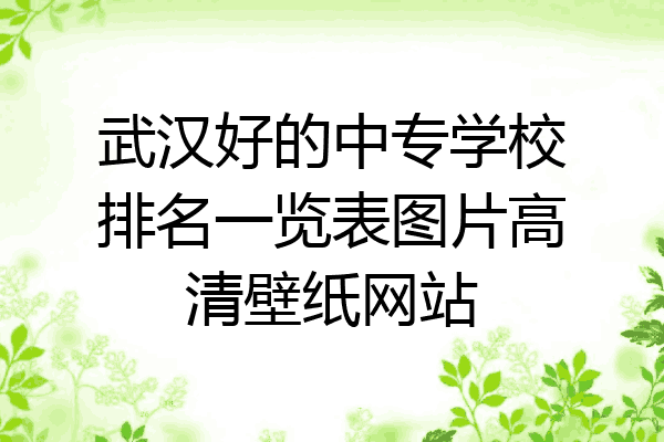 武汉好的中专学校排名一览表图片高清壁纸网站