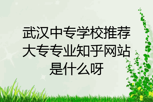 武汉中专学校推荐大专专业知乎网站是什么呀