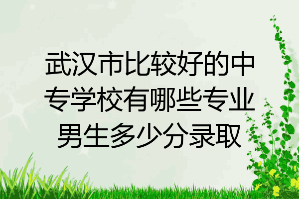 武汉市比较好的中专学校有哪些专业男生多少分录取