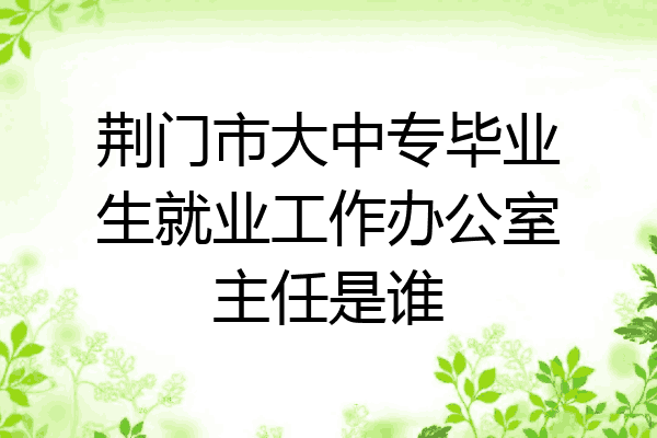 荆门市大中专毕业生就业工作办公室主任是谁