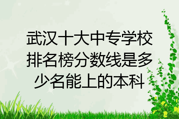 武汉十大中专学校排名榜分数线是多少名能上的本科