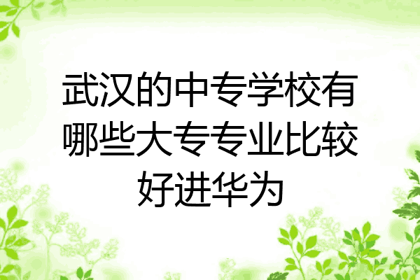 武汉的中专学校有哪些大专专业比较好进华为