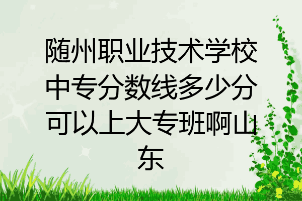 随州职业技术学校中专分数线多少分可以上大专班啊山东