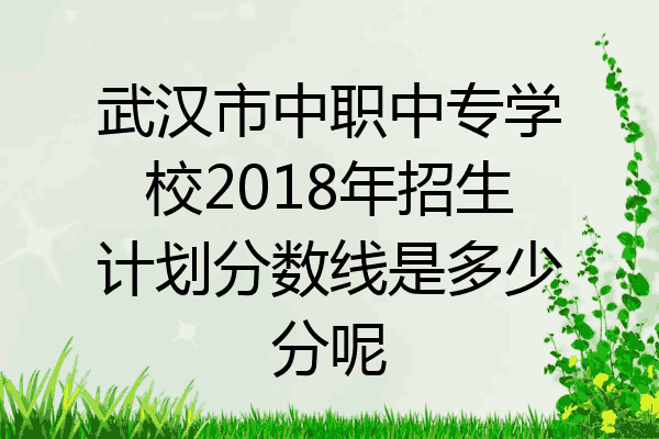 武汉市中职中专学校2018年招生计划分数线是多少分呢
