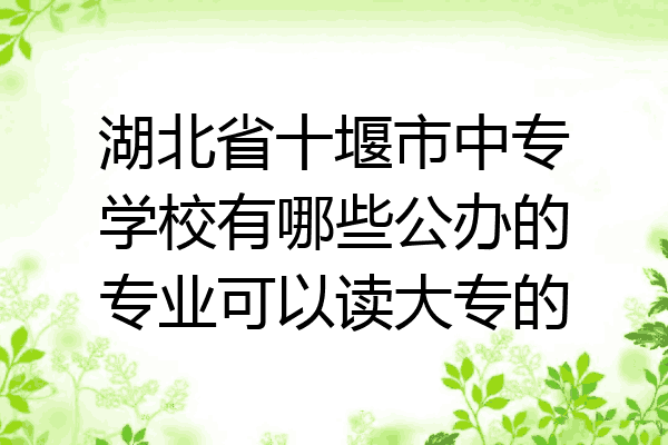 湖北省十堰市中专学校有哪些公办的专业可以读大专的
