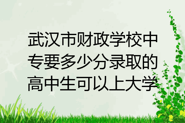 武汉市财政学校中专要多少分录取的高中生可以上大学