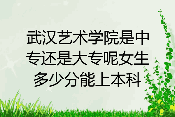 武汉艺术学院是中专还是大专呢女生多少分能上本科