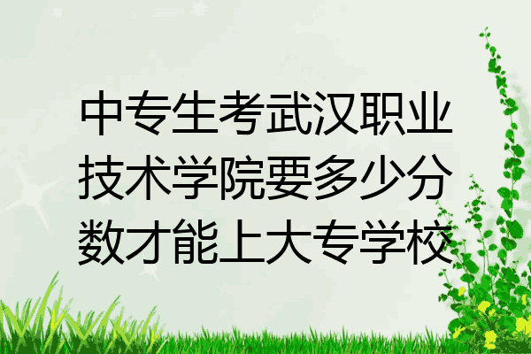 中专生考武汉职业技术学院要多少分数才能上大专学校