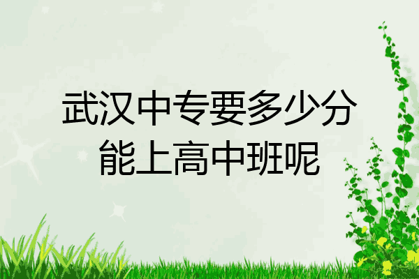 武汉中专要多少分能上高中班呢