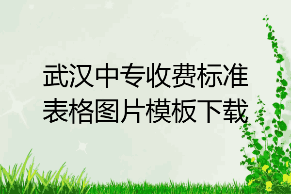 武汉中专收费标准表格图片模板下载