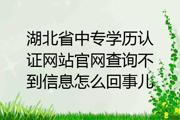 湖北省中专学历认证网站官网查询不到信息怎么回事儿