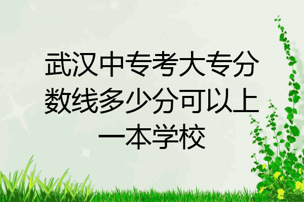 武汉中专考大专分数线多少分可以上一本学校