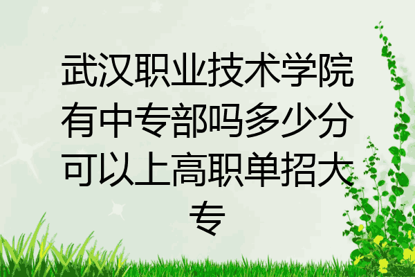 武汉职业技术学院有中专部吗多少分可以上高职单招大专