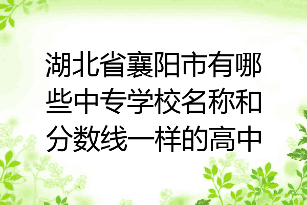 湖北省襄阳市有哪些中专学校名称和分数线一样的高中