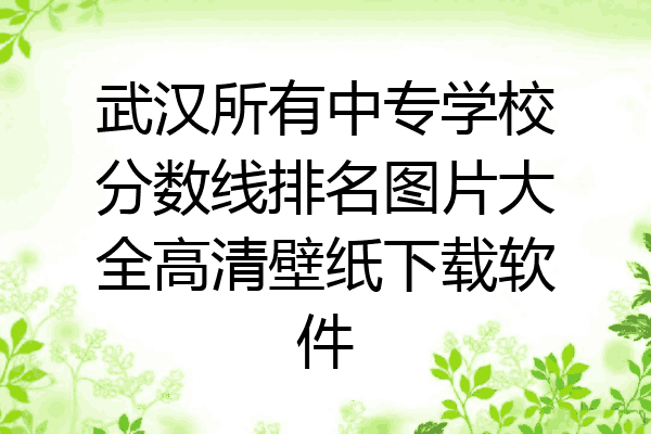 武汉所有中专学校分数线排名图片大全高清壁纸下载软件