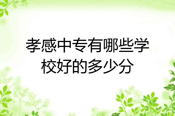孝感中专有哪些学校好的多少分