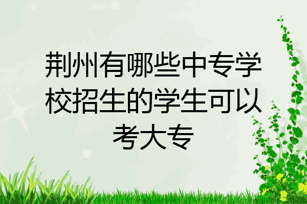 荆州有哪些中专学校招生的学生可以考大专
