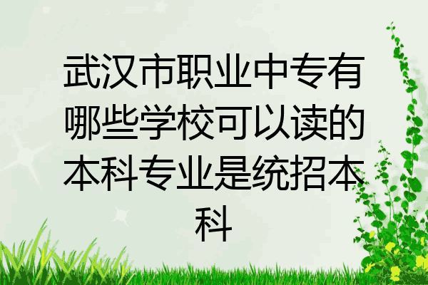 武汉市职业中专有哪些学校可以读的本科专业是统招本科