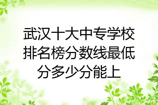 武汉十大中专学校排名榜分数线最低分多少分能上
