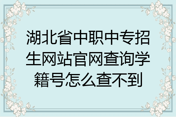 湖北省中职中专招生网站官网查询学籍号怎么查不到