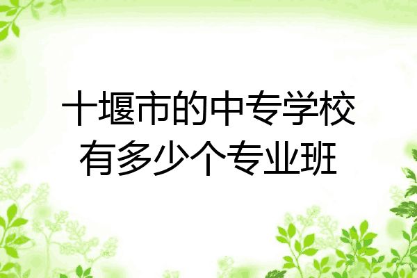 十堰市的中专学校有多少个专业班